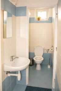 a bathroom with a sink and a toilet at Chata Bystřička in Velká Lhota +16 photos