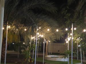 a row of lights on poles in a yard at night at moon light in Ramlah