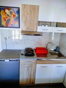 a small kitchen with a sink and a stove at Apartman DimDam in Veliko Gradište