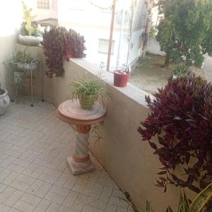 a small table with potted plants on top of a window at Punto Descanso in Corrientes