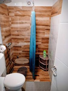 a bathroom with a toilet and a wooden wall at Apartman DimDam in Veliko Gradište +21 photos