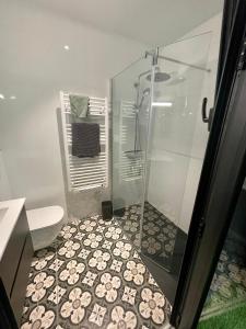 a bathroom with a shower and a toilet at Suite indépendante avec jardin, 2 chambres communicantes, hyper centre Arcachon in Arcachon