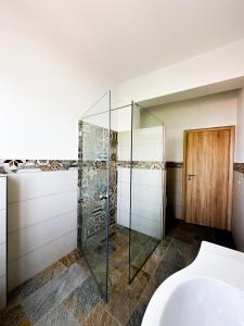 a bathroom with a glass shower and a toilet at Infinite Blue Maisonette with Panoramic Terrace in Ámpelos +21 photos