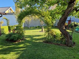 a garden with a tree and some plants in a yard at Rum för två - centralt i Borgholm in Borgholm +4 photos