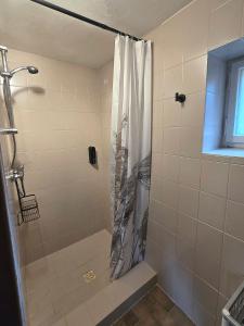 a shower with a shower curtain in a bathroom at Penzion ALENA in Pec pod Sněžkou +41 photos
