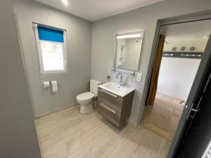a bathroom with a toilet and a sink and a mirror at La ferme Bourguignonne in Saizy