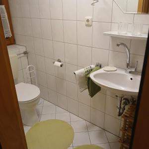 a small bathroom with a toilet and a sink at Gästezimmer Rauchecker Eging in Eging