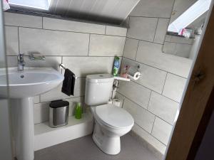a small bathroom with a toilet and a sink at Le Menes in Andenne