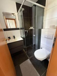 a bathroom with a toilet and a shower and a sink at Zimmer-Enjoy in Altenahr