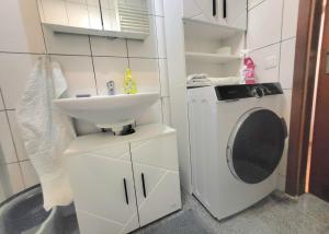 a bathroom with a sink and a washing machine at Tolle Stadtwohnung in Darmstadt