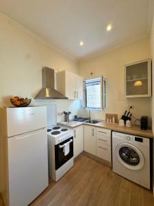 a kitchen with a white refrigerator and a dishwasher at Spiros apartment - Loggos, Paxos in Longós