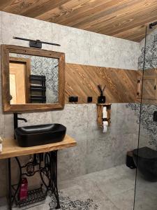 a bathroom with a mirror and a sink at Apartament pod Świerkami in Witów
