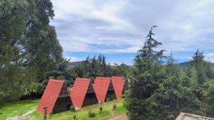 an aerial view of a house with red roof at Centro Ecoturístico Rancho Buenavista in Nanacamilpa