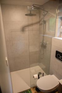a bathroom with a glass shower with a toilet at Domek letniskowy in Klusek Biały +15 photos