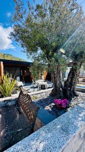 a garden with a bench and a tree at Relax Della Valle in Coassolo Torinese