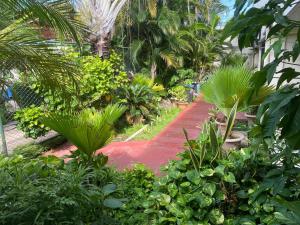 a red path in a garden with trees and plants at Hotel Oasis Beach Club in Puntarenas