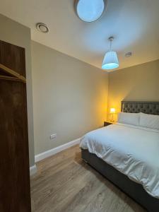 a bedroom with a large bed and a blue light at Studio 7 in Dungannon