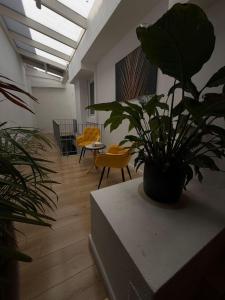 a living room with a potted plant on a table at Enjoy-Zimmer in Altenahr