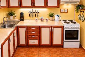 a kitchen with a stove and a sink at Chata Adrian Slovak Paradise in Spišské Tomášovce