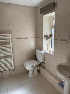 a bathroom with a toilet and a sink at Annie Place in Whitby +20 photos