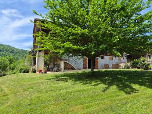 a tree in the grass in front of a building at Le Rucan Maison atypique in Montastruc-de-Salies