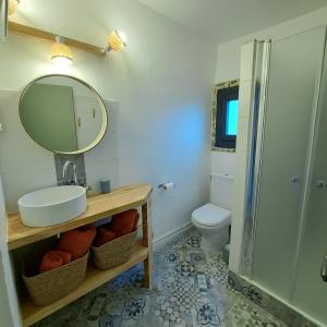 a bathroom with a sink and a mirror and a toilet at Mas del Sola in Castelnou +17 photos