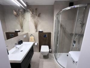 a bathroom with a sink toilet and a shower at Golden Sun Apartment Grzybowo in Grzybowo +20 photos