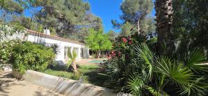 a house with a lot of plants and trees at Casa Esperanto in Béziers