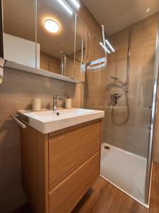 a bathroom with a sink and a shower at Chez Baron in Hauterive