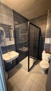 a bathroom with a sink and a toilet at Appartement 2 Pièces in Annemasse