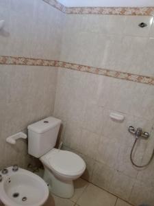 a bathroom with a toilet and a shower at Duplex Hermosinda Hospedaje in Chilecito