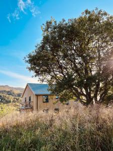 a wooden house with a tree in a field at Nykmark - Eco House - Room Selva in Bøstad