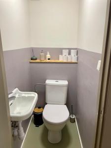 a bathroom with a white toilet and a sink at Nykmark - Eco House - Room Selva in Bøstad