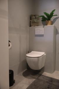 a white toilet in a bathroom with a plant at B&B de Beurtvaart in Dokkum +20 photos