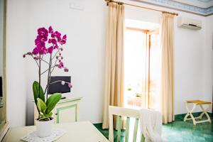Istumisnurk majutusasutuses Albergo California