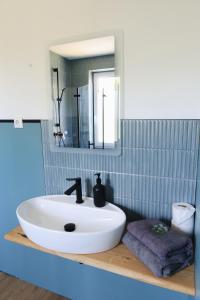 a bathroom with a white sink and a mirror at A&E Hotel Friedrichshöhe in Braunschweig