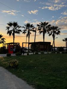 a group of palm trees in a park at sunset at Seaside Family Escape in Golem