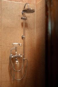 a shower with a hose attached to a tiled wall at Casa Yolanda in Bojar +41 photos