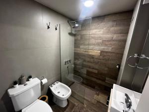a bathroom with a toilet and a glass shower at Andes Nomad Mendoza in Godoy Cruz +9 photos