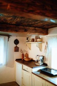 a kitchen with a counter top and a counter top at Zenovna - Roubená chaloupka in Krásná
