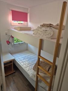 a bunk bed in a small room with a ladder at De vijverhut in Schagen +18 photos