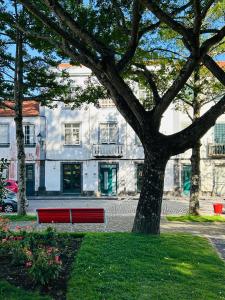 a red bench next to a tree in a park at GARDEN VIEW APARTMENT in Horta