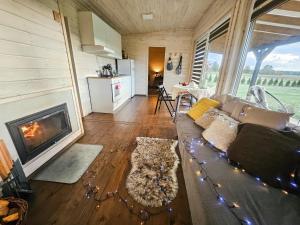 a living room with a couch and a fireplace at Medsukys - Namukai Dviem in Griniūnai