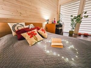 a bedroom with a bed with lights on it at Medsukys - Namukai Dviem in Griniūnai