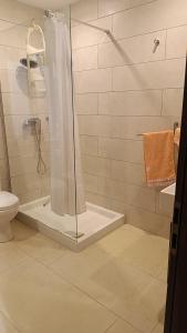 a bathroom with a shower and a toilet at Tan-Nahal Court Apartment, Sannat Gozo in Sannat +14 photos