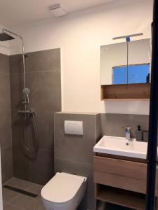 a bathroom with a shower and a toilet and a sink at Apartman Blaga in Povlja +38 photos