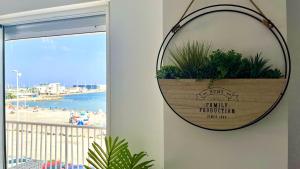 a mirror hanging on a wall with a plant at Mar, terraza y parking in Santa Pola