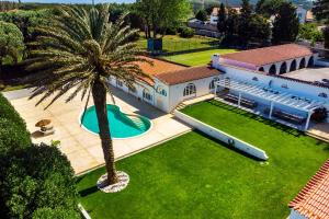 an aerial view of a house with a palm tree at Quinta do Outeiro by Soulplaces in Almargem