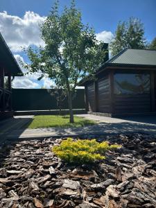 a tree in a rock garden next to a house at Pulmo Rest House in Pulʼmo +12 photos
