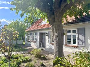 a white house with a tree in front of it at Käpitänshaus zum Plümper in Ahrenshoop